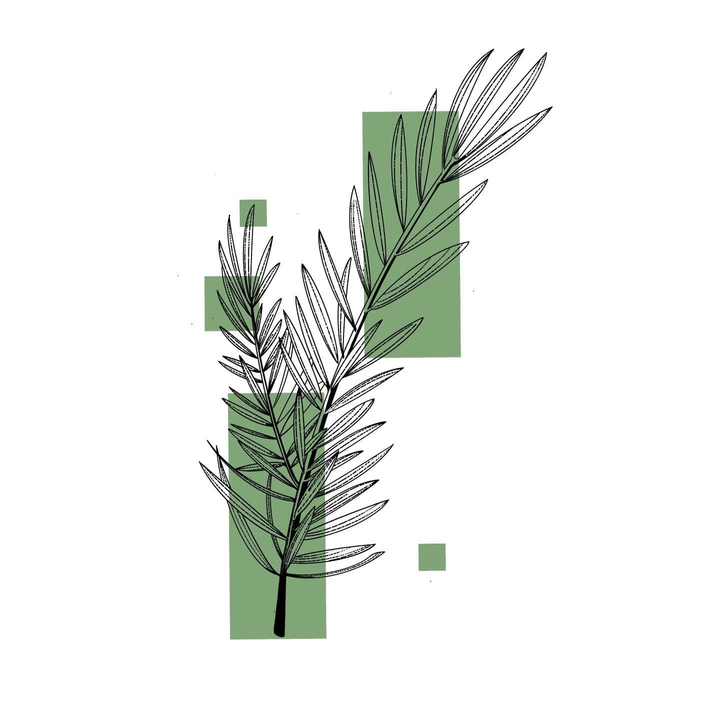 Branch